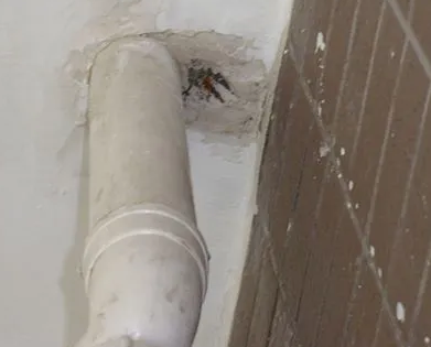 双鸭山漏水检测哪家好